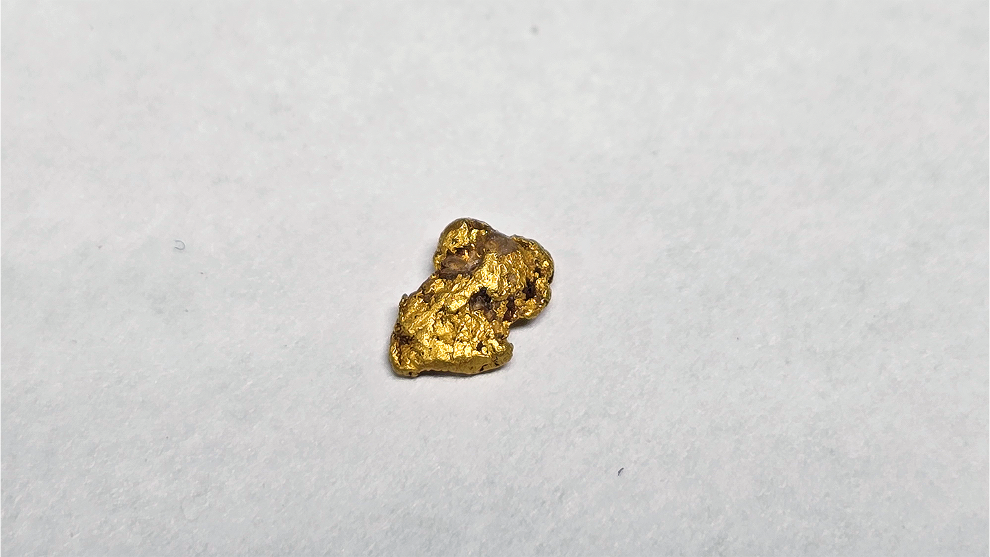 Beautiful 0.19g Gold Picker Found by Pioneer Pauly – As Seen in His Latest Video!
