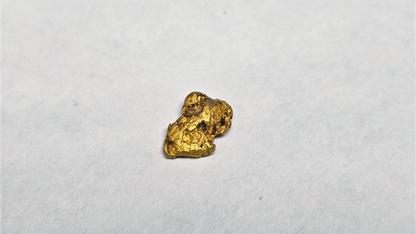 Beautiful 0.19g Gold Picker Found by Pioneer Pauly – As Seen in His Latest Video!