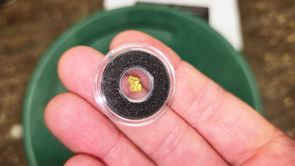 Beautiful 0.19g Gold Picker Found by Pioneer Pauly – As Seen in His Latest Video!