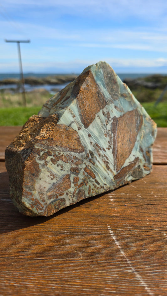 Ocean Picture Stone - 6.4lbs
